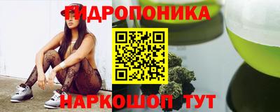 твердый Будённовск