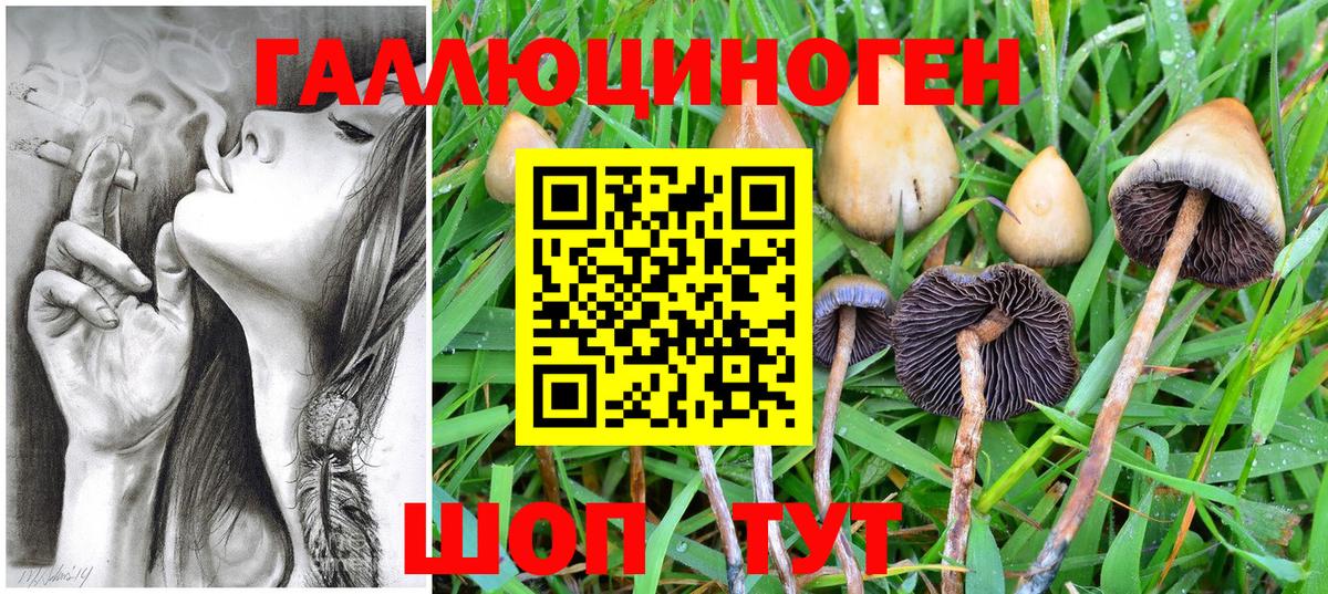 Пенза  Галлюциногенные грибы Magic Shrooms  Псилоцибиновые грибы мицелий  Вход с VPN 